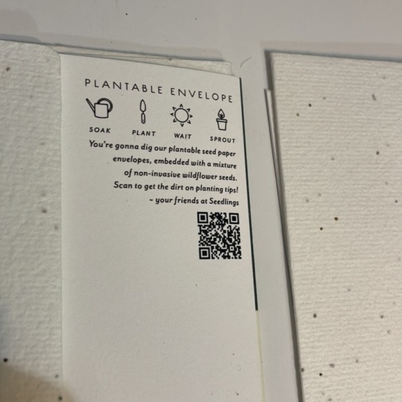 Seedlings note cards plantable envelopes 2 cards - Picture 4 of 10